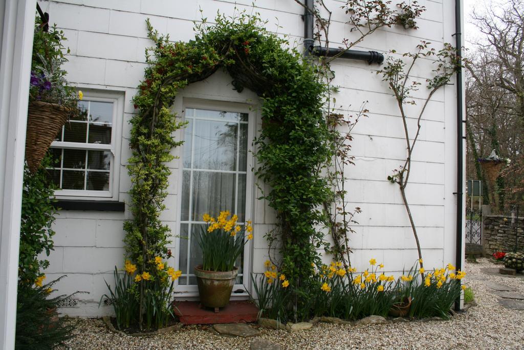 Clayhill House Bed & Breakfast Lyndhurst Zewnętrze zdjęcie